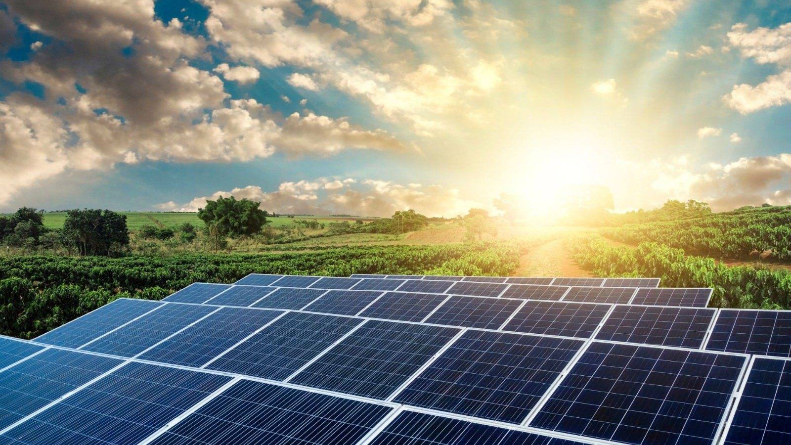 Powerst utility-scale solar farm aerial view